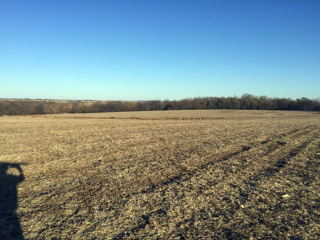 78 Acres Stella NE (3) US Farm And Land
