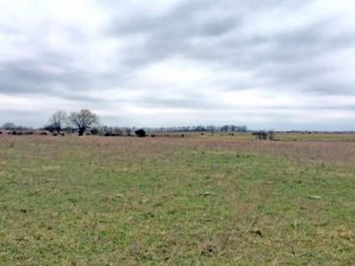 860 Acres Bourbon Co (15)