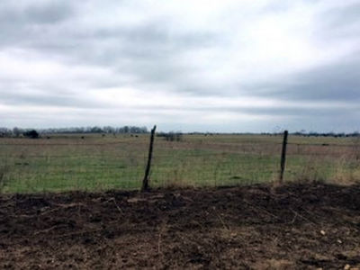 860 Acres Bourbon Co (1)