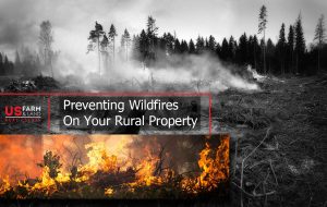 Read more about the article Preventing Wildfires On Your Rural Property