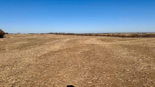 Read more about the article 122.9 Acres of Prime Hill Ground, Mound City, Mo     SOLD!!